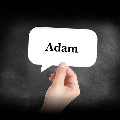 Adam - Wikipedia