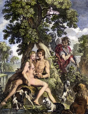 Must There Be Only One Adam and Eve? - Ascension Press Media