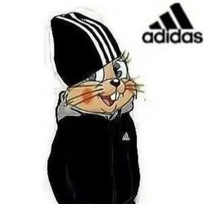 Adidas: Экоинновационная юбилейная коллекция - премьера в Молдове Ⓟ