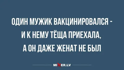 15 СМС о нашей сумасшедшей жизни / AdMe | Смешные сообщения, Сообщения,  Смешно