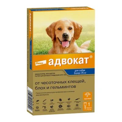 Адвокат ® капли для собак 25-40 кг. 1 пип. в упак. купить по низкой цене с  доставкой - БиоСтайл