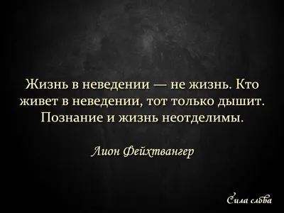 Великие цитаты и афоризмы (Омар Хайям) - купить книгу с доставкой в  интернет-магазине «Читай-город». ISBN: 978-5-17-133935-7