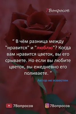 Не ищите любви, ищите того, кто принесёт вам счастье. Рано или поздно это  счастье превратится в любовь. - … | Красивые цитаты, Правдивые цитаты,  Вдохновляющие фразы