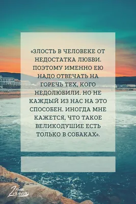 Цитаты высказывания выражения афоризмы крылатые фразы из книг про жизнь о  любви мотивационные | Книги, Крылатая фраза, Вдохновляющие