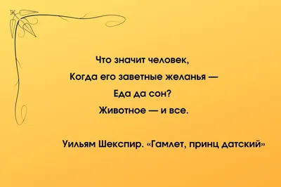 Смачно о любви. Афоризмы об отношениях, сексе, жизни | Черновецкий Вадим -  купить с доставкой по выгодным ценам в интернет-магазине OZON (239935856)