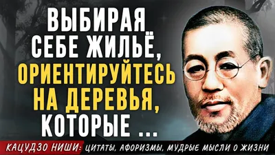 Жизнь глазами мудрецов: цитаты, афоризмы, пословицы, поговорки (Сергей  Дворников) - купить книгу с доставкой в интернет-магазине «Читай-город».  ISBN: 978-5-39-405624-6