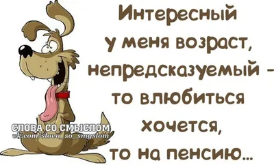 9 смешных фраз, которые можно услышать на утро после вечеринки | Пикабу