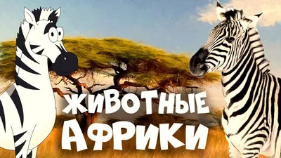 Вырубка "Африканские животные" ⋆ Kidomi Развивающие игрушки и материалы для  творчества