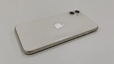 Месяц с iPhone 11: вся правда о камере – Москва 24, 