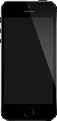 IPhone 5s дисплей в сборе с тачскрином для Apple iPhone 5S Refurbished,  черный - купить в Москве в интернет-магазине PartsDirect