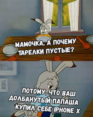 Смешной чехол на iPhone 5/5S с хомяком "Не буди во мне зверя" - Ne budi  Zveria — купить в интернет магазине | Цена | Киев, Одесса, Харьков, Днепр