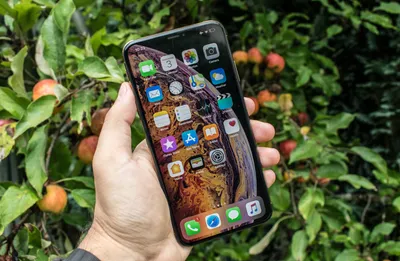 iPhone 11 vs. iPhone XR, XS and XS Max: Everything Apple changed - CNET