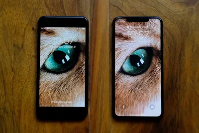 iPhone XS Max up close and hands-on | TechCrunch