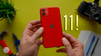 Так может выглядеть задняя панель iPhone 11