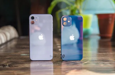 iPhone 11: обзор и опыт эксплуатации за полтора года / Смартфоны и  мобильные телефоны / iXBT Live