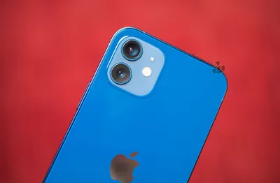 Сравнение камеры iPhone 12 и iPhone 11 — насколько новинка лучше снимает -  Super G