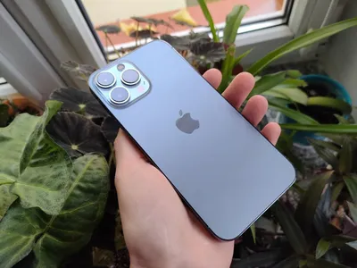 Чёрный iPhone 13 показали с обеих сторон