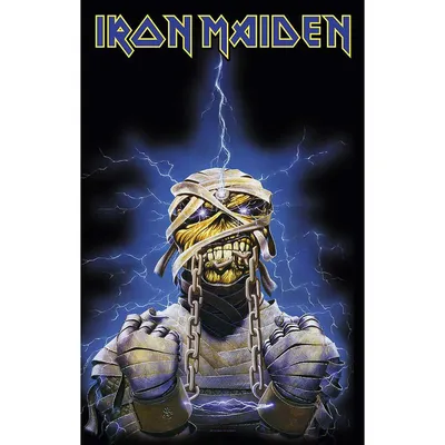 Sticker - Iron Maiden Hatchet Eddie Heavy Metal Music Band 4.5" Decal #5828  Cool | eBay