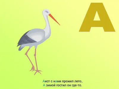 Презентация на тему: "С. Маршак Аист с нами прожил лето, А зимой гостил он  где-то.". Скачать бесплатно и без регистрации.