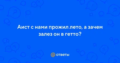 Ответы : Аист с нами прожил лето, а зачем залез он в гетто?