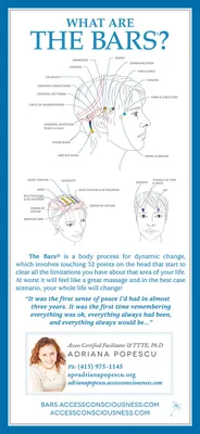 BARS Access Consciousness - Lotus Healing Center