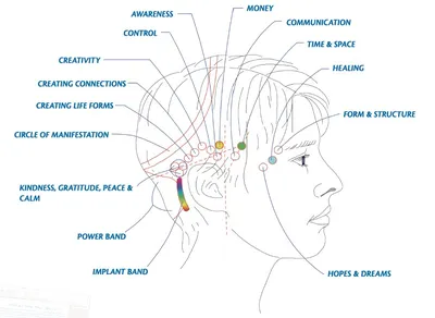 Access Bars - Sunflower Therapies