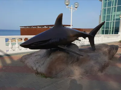 Фальсифицированная и анимированная школа акул 3D Модель $29 - .unknown .c4d  .fbx - Free3D