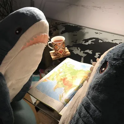 IKEA Sharks can be found all around the world | Shark plush, Shark meme,  Shark