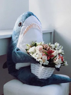 Ikea Shark | Пикабу