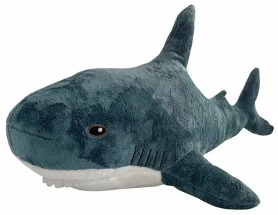 Welp I own an ikea shark now he is huge : r/sharks