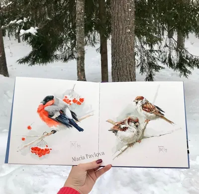 Птицы зимой в лесу - 71 фото