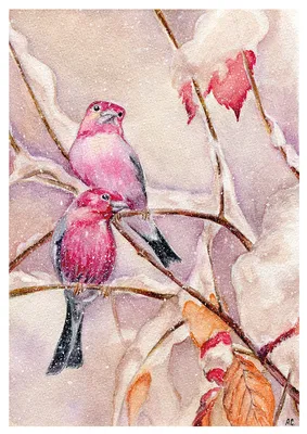 Зимние птицы, автор Имадаева Макка Абдул-Хамидовна