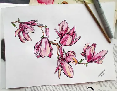 Цветы акварелью — Ekaterina Shevi — VATIKAM