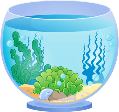 Как оформить аквариум без рыбок | Аквариум, Ракушки, Безе