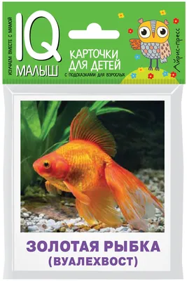 Умный малыш. Аквариумные рыбы. Набор карточек. — купить по низкой цене на  Яндекс Маркете