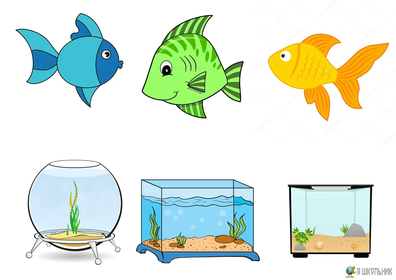 Аквариумные рыбы для детей. Рыбки для аквариума. Рыба в аквариуме рисунок. Рыбы в аквариуме для детей. Аквариум с рыбками для детей.