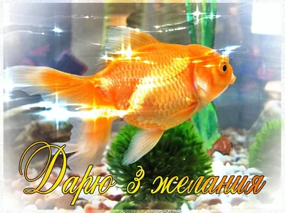 Аквариум с имитацией золотой рыбки, Морской Декор, аквариумные украшения,  искусственная имитация золотой рыбки, силикагель, светящаяся Золотая рыбка  | AliExpress