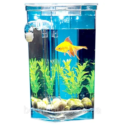 Аквариум Самоочищающийся My Fun Fish Cleaning Tank: продажа, цена в  Украине. Аквариумы от "Оптовий інтернет-магазин bestmarket" - 1174046425