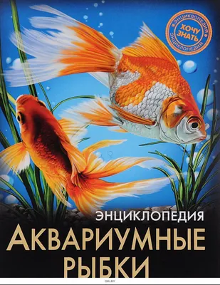 Трафарет с фигурами "Аквариумные рыбки" Луч купить в Минске | 10С 531-08