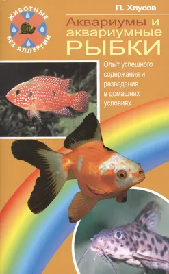 Книга Золотые и другие холодноводные аквариумные рыбки - купить книги о  животных в интернет-магазинах, цены на Мегамаркет |