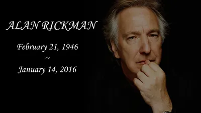 ALAN RICKMAN WALLPAPERS - Алан Рикман Обои (25332208) - Fanpop