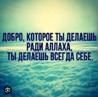 Ассалам Алейкум братья и сестры прошу ᐈ Отдам даром ▷ Бишкек | 64278853 ➤  