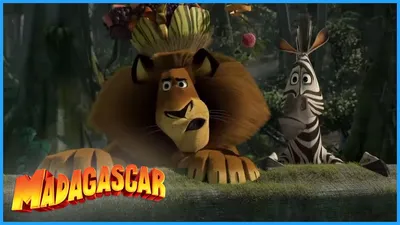 Madagascar : Alex | Alex Madagascar : Escape 2 Africa 〈McDon… | Flickr