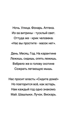 Как Александр Блок нашел Прекрасную Даму, а жену потерял | Ваш тайный  советник | Дзен