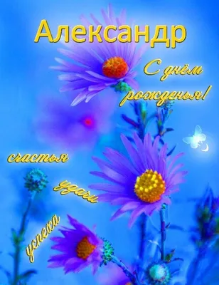 Подарить открытку с днём рождения Александру своими словами онлайн - С  любовью, 