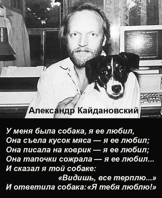 Николай Патрушев on X: "Александр Кайдановский  г., - 3 декабря  1995 г. (49 лет) /frEmFhSKrZ" / X