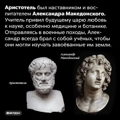 Александр Македонский в битве при …» — создано в Шедевруме