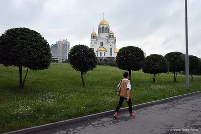 Бобруйские адвокаты сняли новый фильм про своего коллегу. Премьера – в  «Вечернем Бобруйске» | 