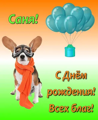 С днем рождения, Александр Погребс! — Вопрос №544610 на форуме — Бухонлайн