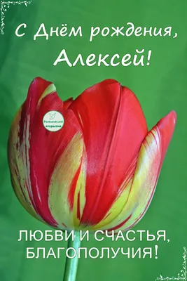 Картинки с днем рождения алексей (55 лучших фото)